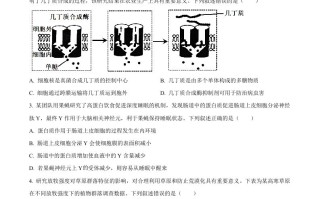 2023年高考 生物试卷-【免费下载】