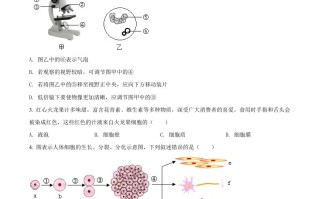 2022年广西贺州市中考生物真题-【免费下载】