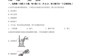 湖南省衡阳市2020 年中考化学试题-【免费下载】
