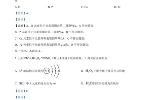 2024年高 考化学试卷-【免费下载】