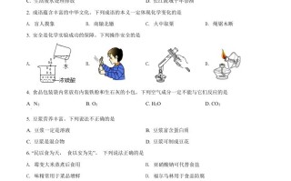 2022年重庆市中 考化学真题-【免费下载】