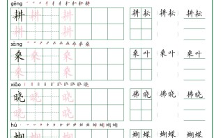 五年级册语文生字词语练字 -【免费下载】