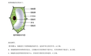 山东省青岛市2020年中考生物试题-【免费下载-高清无水印】【中考真题电子版可打印】