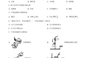 2023年云南省中考化学真题-【免费下载-高清无水印】【中考真题电子版可打印】