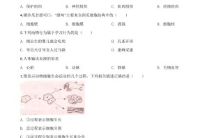 宁夏2020年八年 级会考生物试题-【免费下载】