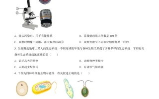 20 22年陕西省中考生物真题-【免费下载】