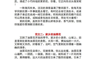 三年级语文册1-8单元作文范文-【免费下载-高清无水印】【语文电子版可打印】