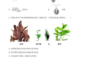 2023年湖北省鄂州市中考生物真题-【免费下载-高清无水印】【中考真题电子版可打印】