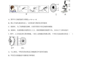 2023年山东省临沂市中考生 物真题-【免费下载】