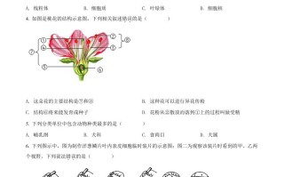 2022年湖南省邵 阳市中考生物真题-【免费下载】