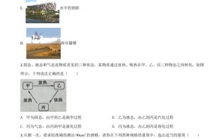  2020年山东省枣庄市中考物理试题-【免费下载】