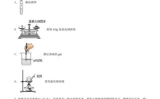 2022年 四川省达州市中考化学真题-【免费下载】
