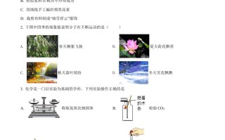2022年四川省遂宁市 中考化学真题-【免费下载】