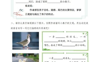 三语文每课作业单-【免费下载-高清无水印】【语文电子版可打印】