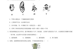 2021年湖南省张家界市中考生物试卷-【免费下载-高清无水印】【中考真题电子版可打印】