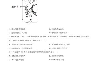 2022 年高考生物试卷-【免费下载】