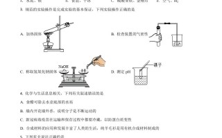 贵州省铜仁市2021年中考化 学试题-【免费下载】