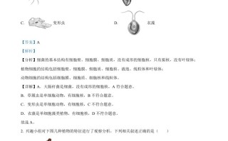 2023年湖北省鄂州市中考生物真 题-【免费下载】