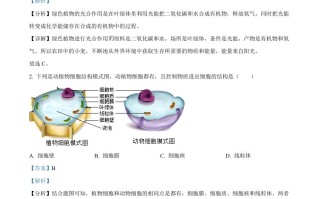 2022年安徽省中考生 物真题-【免费下载】