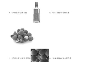 四川省泸州市2020年中考化学试题-【免费下载-高清无水印】【中考真题电子版可打印】