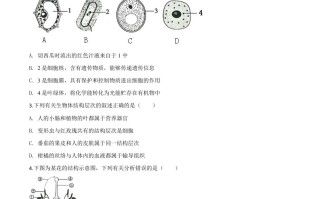 山东省滨州市2020年中考生物试题-【免费下载-高清无水印】【中考真题电子版可打印】