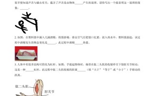 2024年河 南省中考物理试题-【免费下载】