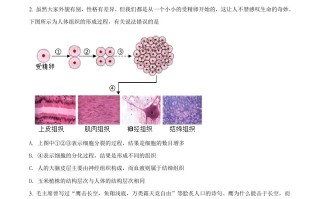 湖北省荆门市 2021年中考生物试题-【免费下载】