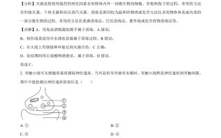 2021年高考生物试卷 -【免费下载】