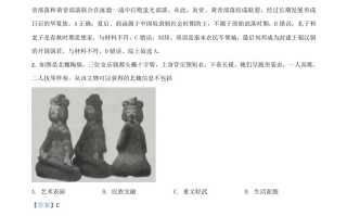 江苏省淮安市2020年中 考历史试题-【免费下载】