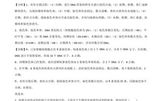 2021年高考生 物试卷-【免费下载】