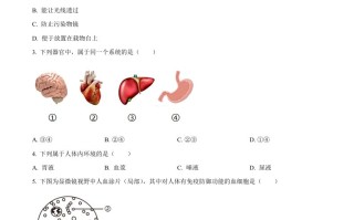 2024年海 市中考生物试题-【免费下载】