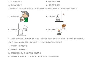 2023年 四川省达州市中考化学真题-【免费下载】