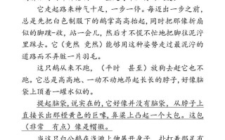 四年级语文册类文阅读-15白鹅-【免费下载-高清无水印】【语文电子版可打印】