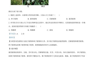 2024年湖 北省中考生物真题-【免费下载】