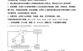 2024年江苏省扬州市中 考化学试题-【免费下载】