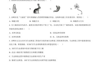 2023年内蒙古赤峰市中考生物真题-【免费下载-高清无水印】【中考真题电子版可打印】