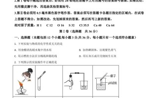 山东省日照市 2020年中考化学试题-【免费下载-高清无水印】【中考真题电子版可打印】