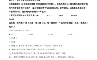 四川省雅安市2020年中考化学试题-【免费下载-高清无水印】【中考真题电子版可打印】