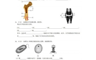 八年级生物期中试卷2-2卷北师大版-【免费下载-高清无水印】【生物电子版可打印】