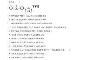 2024年高 考生物试卷-【免费下载】