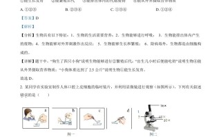 2022年山东省滨州市中考生物真题-【免费下载-高清无水印】【中考真题电子版可打印】