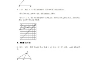 八年级数学期中试卷2-2卷苏科版-【免费下载-高清无水印】【数学电子版可打印】