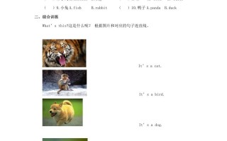 一年级英语册Animals习题2-【免费下载-高清无水印】【英语电子版可打印】