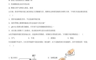 四川省德阳市 2020年中考化学真题-【免费下载】
