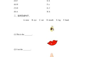 三年级英语册Unit3_B_Let’s_learn同步习题-【免费下载-高清无水印】【英语电子版可打印】