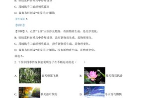 2022年四川省遂宁市中考化学真 题-【免费下载】