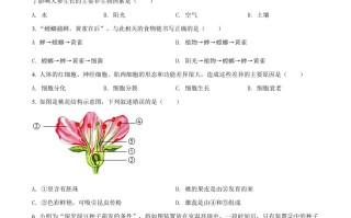 2022年吉林省长春 市中考生物真题-【免费下载】