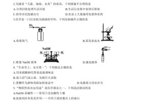 2023年四川省南充市中考化学真题-【免费下载-高清无水印】【中考真题电子版可打印】