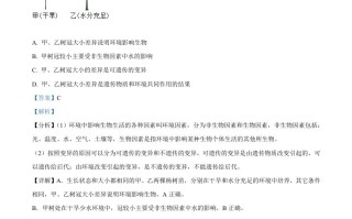  2022年山东省泰安市中考生物真题-【免费下载】