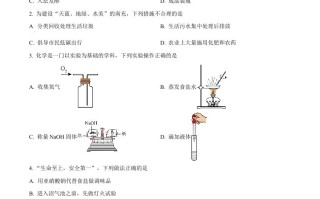 202 3年四川省南充市中考化学真题-【免费下载】